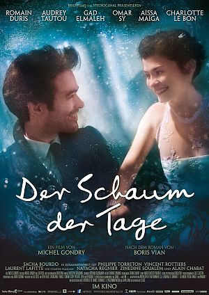 Cover zu Der Schaum der Tage